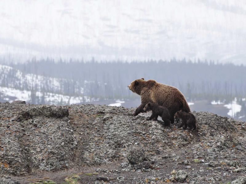 重启人生<br>warnesu.cn 存档点回溯